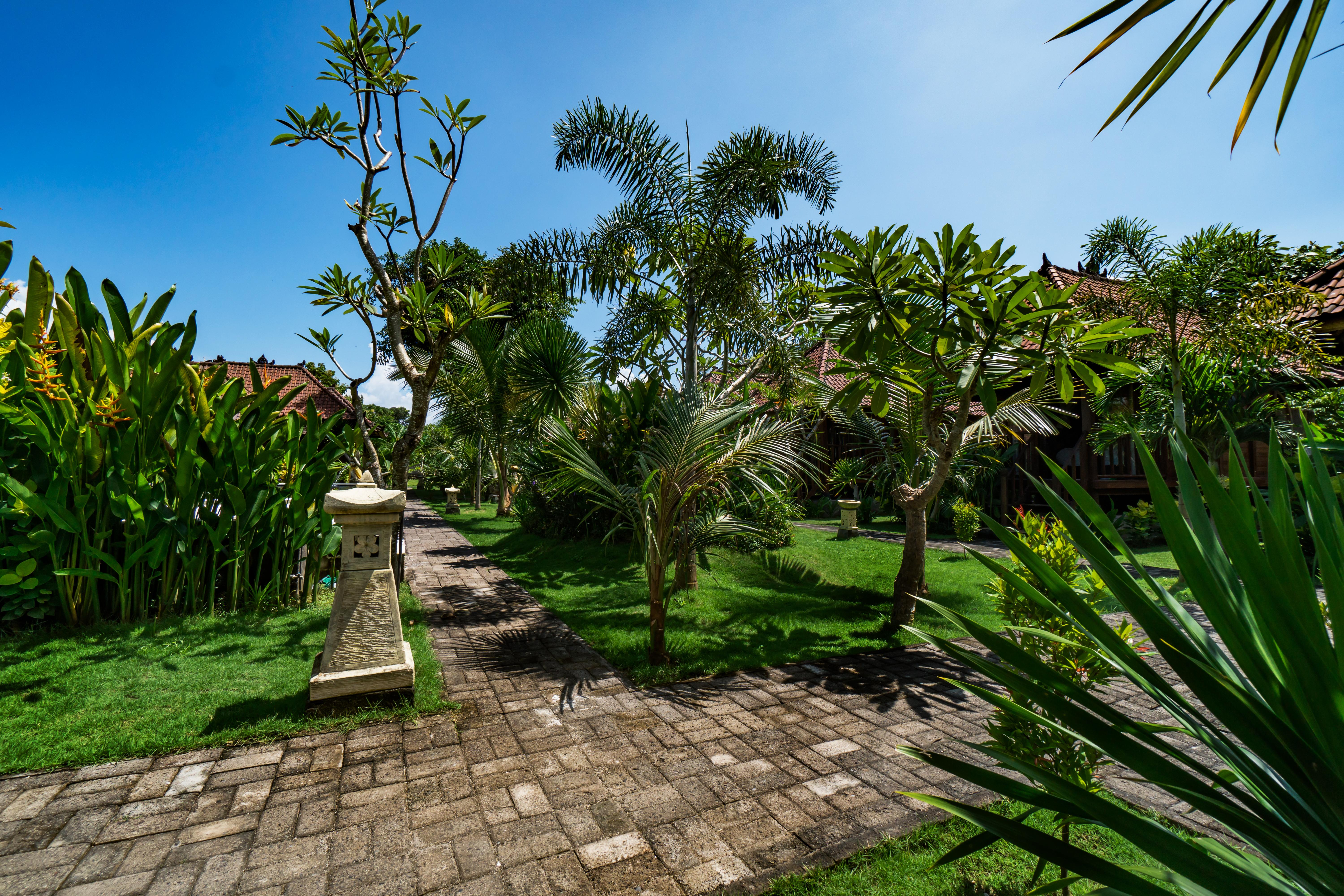 The Cozy Villas Lembongan Нуса-Лембонган Экстерьер фото